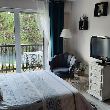 Les Dryades Gérardmer Dış mekan fotoğraf