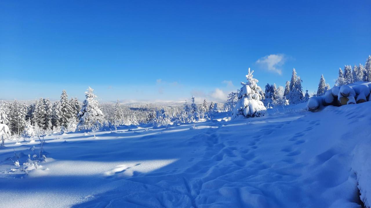 Les Dryades Gérardmer Dış mekan fotoğraf