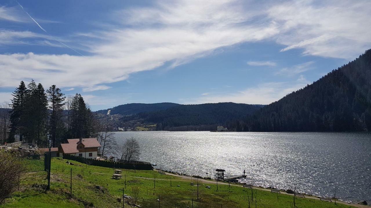 Les Dryades Gérardmer Dış mekan fotoğraf