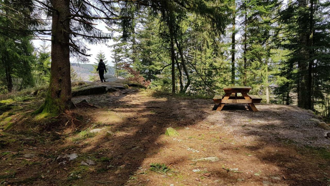 Les Dryades Gérardmer Dış mekan fotoğraf