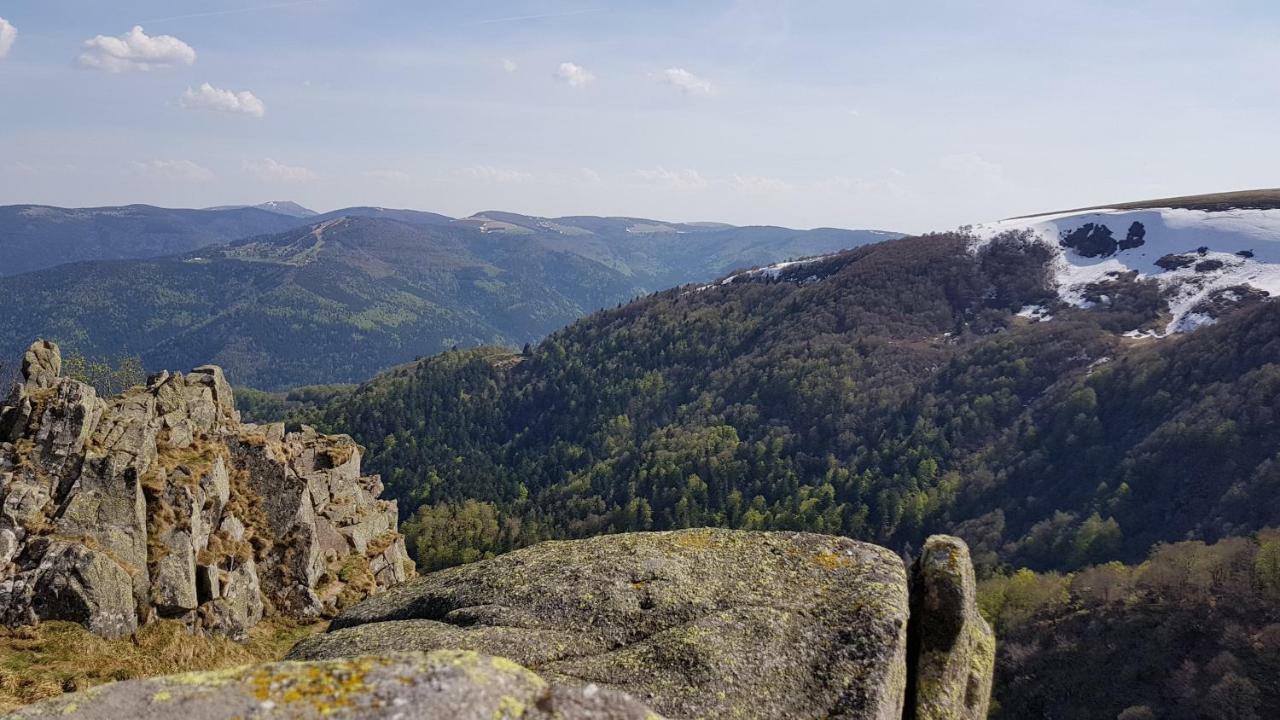 Les Dryades Gérardmer Dış mekan fotoğraf