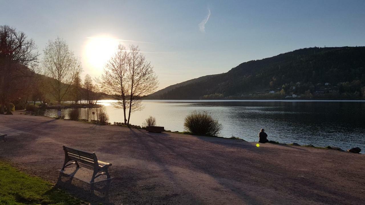 Les Dryades Gérardmer Dış mekan fotoğraf