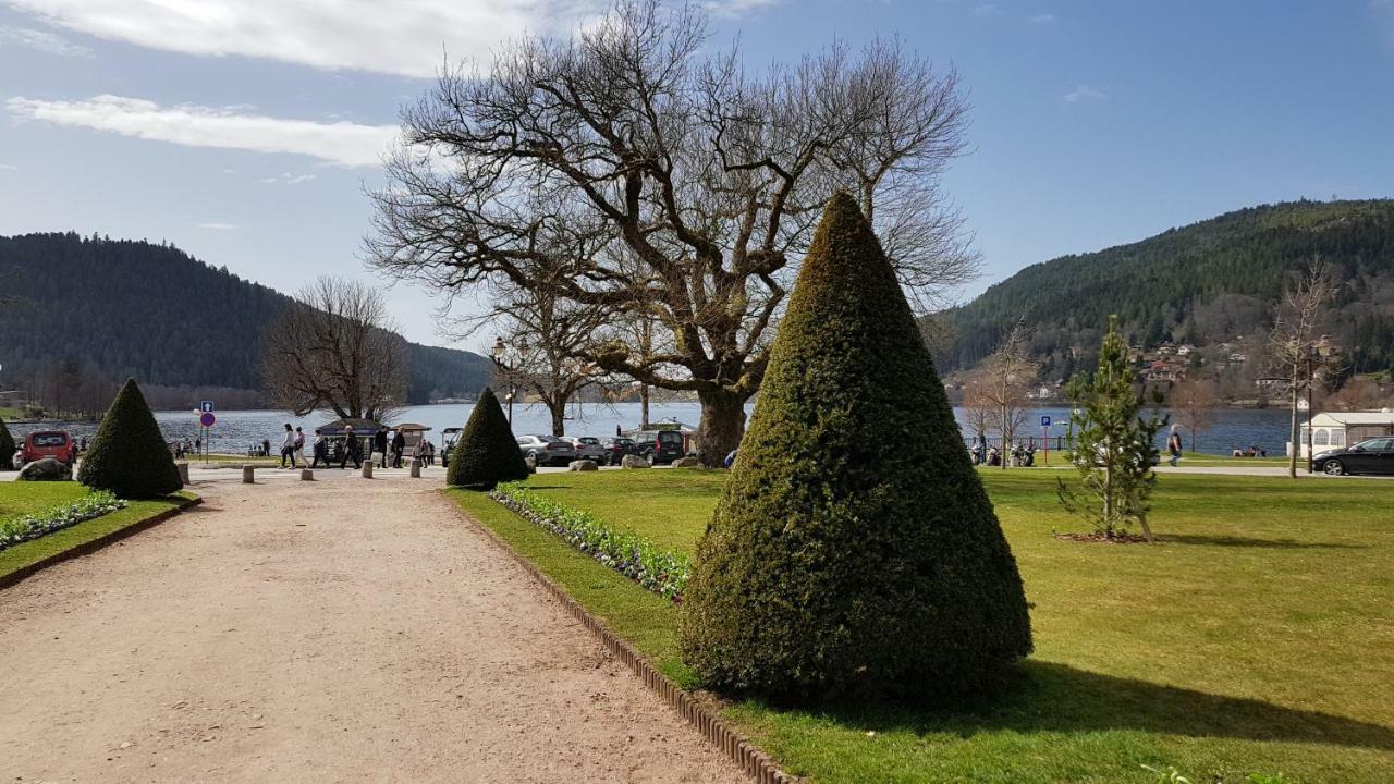 Les Dryades Gérardmer Dış mekan fotoğraf