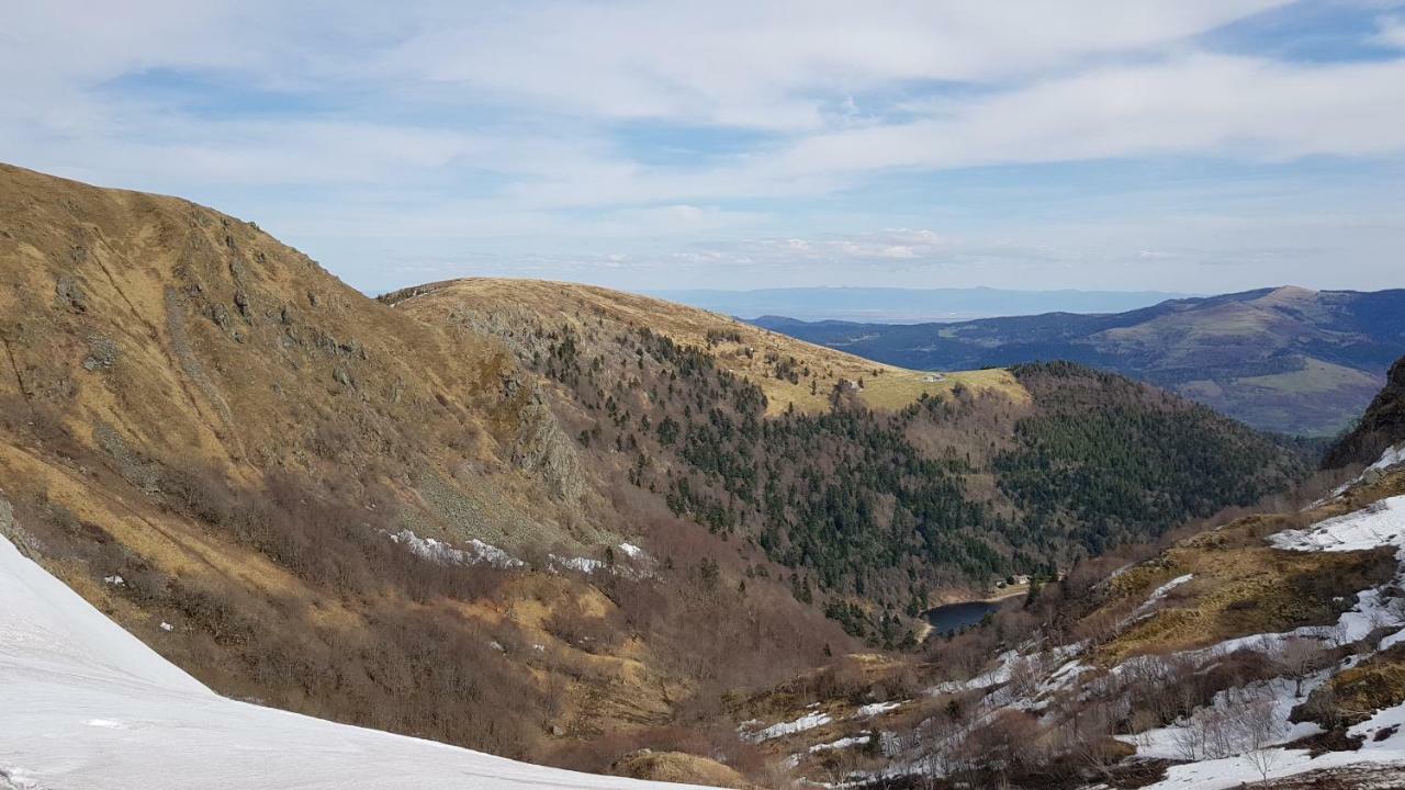 Les Dryades Gérardmer Dış mekan fotoğraf