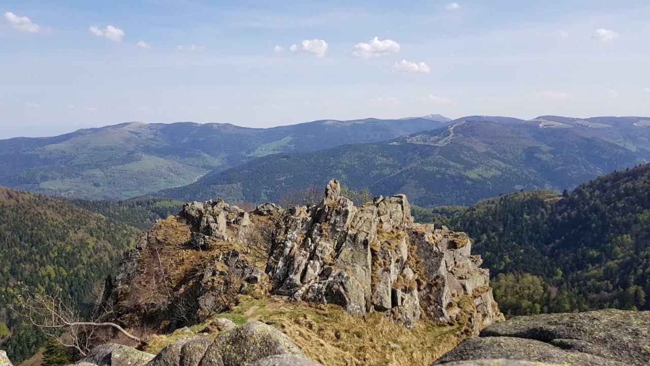 Les Dryades Gérardmer Dış mekan fotoğraf